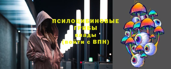 эйфоретик Арсеньев