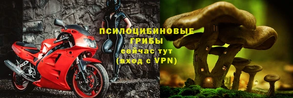 apvp Армянск