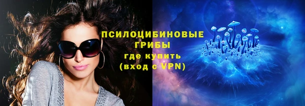 эйфоретик Арсеньев