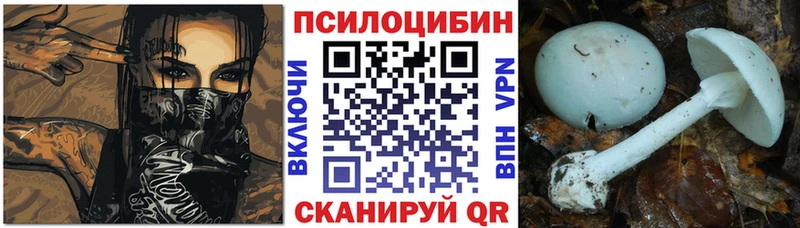 Псилоцибиновые грибы Cubensis  Вязьма 